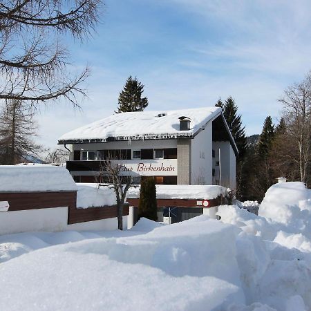 Apartment Am Birkenhain-8 Seefeld in Tirol Dış mekan fotoğraf